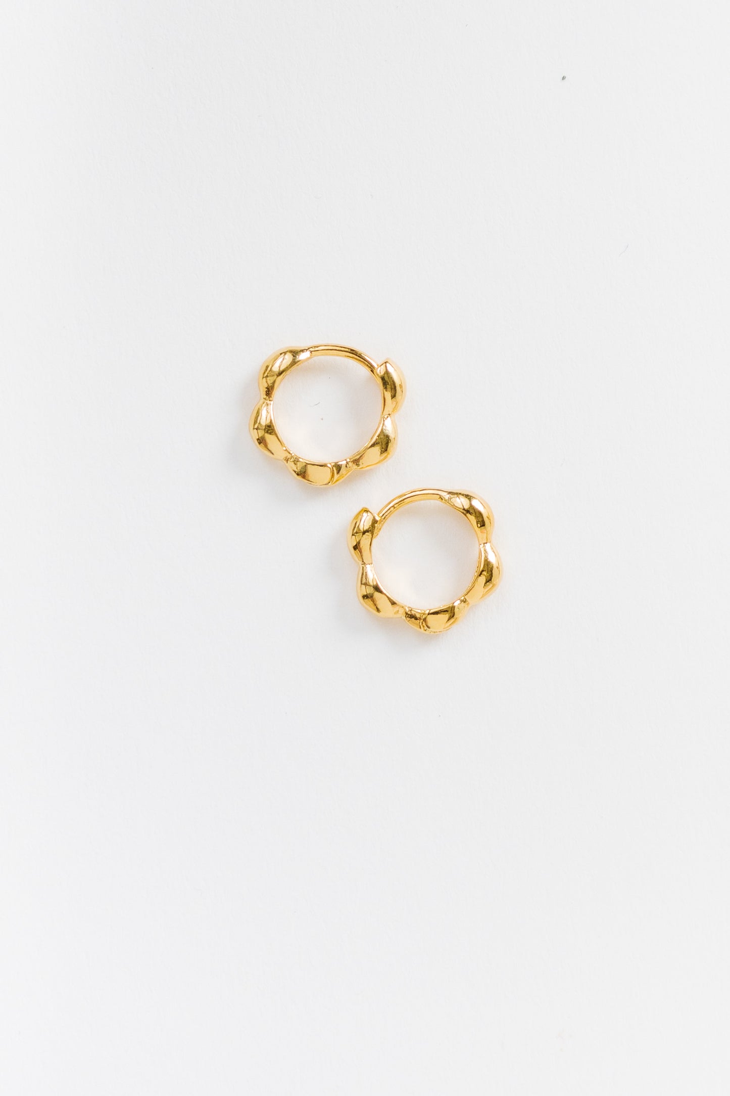 Cove Bracha Hoops