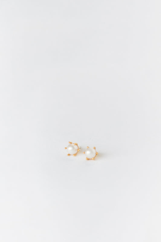 Cove Earrings Elegant Pearl Gold